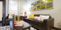 Furnished USF